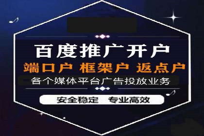 百度推广代运营案例：案例分享：打造行业领军品牌